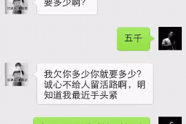 巫溪债务清欠服务